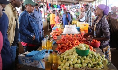 World food prices fall slightly in November: FAO