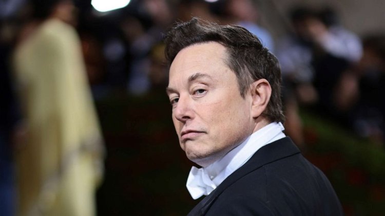 Twitter users want Elon Musk step down as CEO in poll