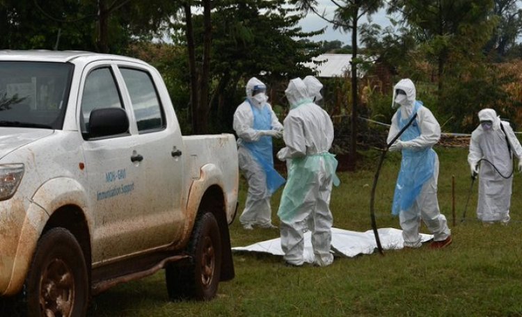 Rwanda heightens surveillance after Marburg virus outbreak in Tanzania