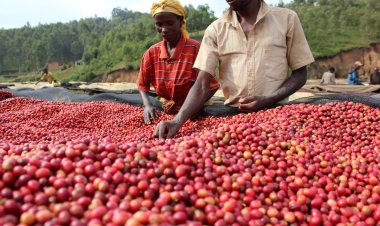 Burundi gets $261 million IMF loan