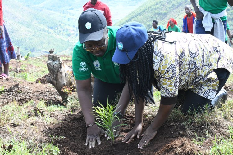 African judicial officers reaffirm commitment to delivering climate justice