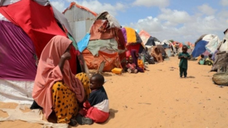 Over 7M children under 5 malnourished in Horn of Africa: UNICEF