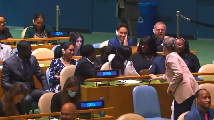 Algeria, Sierra Leone elected non-permanent members of UN Security Council