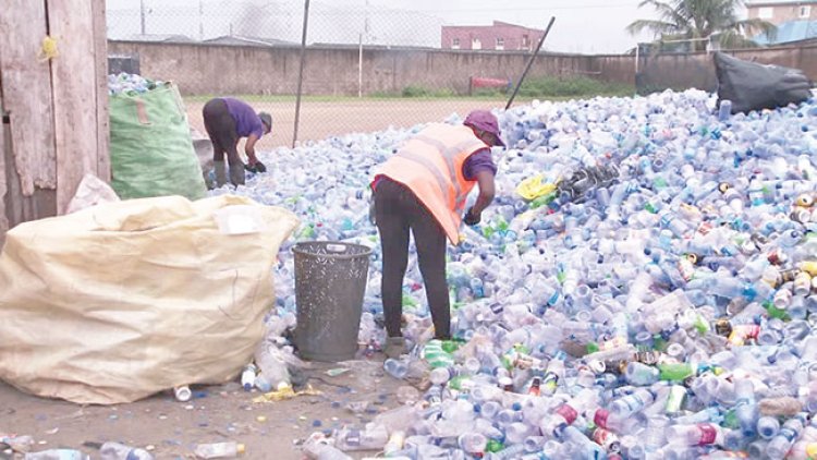Int'l community mulls cooperation in waste management in Africa