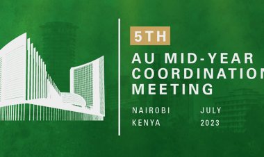 African leaders call for reforms of int'l financial system