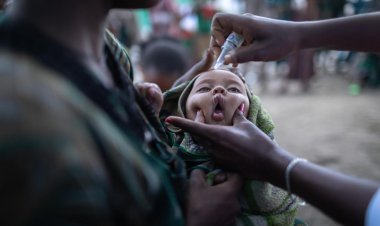 Africa's immunization coverage steadily improving after pandemic: GAVI