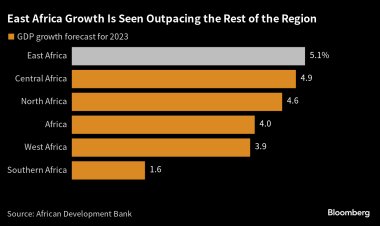 East Africa's economic growth to rise to 5.1% in 2023: AfDB