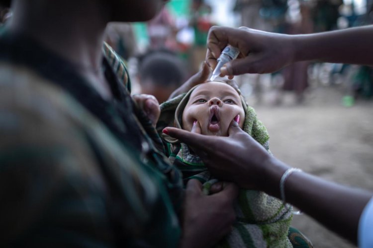 Africa's immunization coverage steadily improving after pandemic: GAVI