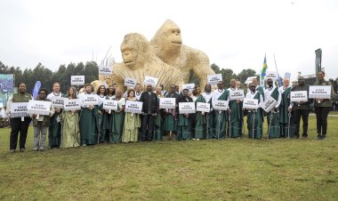Rwanda vows to maintain nature conservation as baby gorillas named