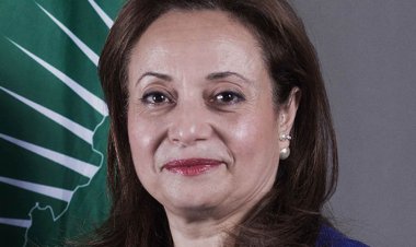 AU official calls for further investments in digital tech in Africa
