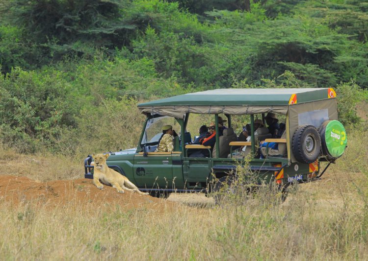 Travel and tourism industry grapples with increasing emissions