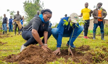 Rwanda to plant 2M trees around health facilities