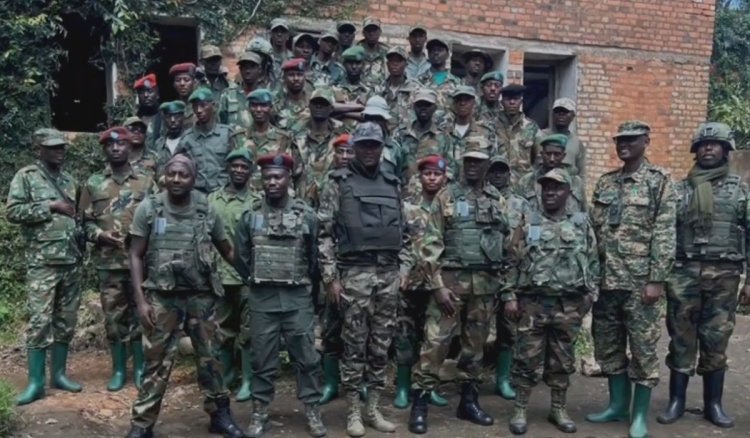 M23 rebels welcome US-brokered ceasefire in eastern DR Congo