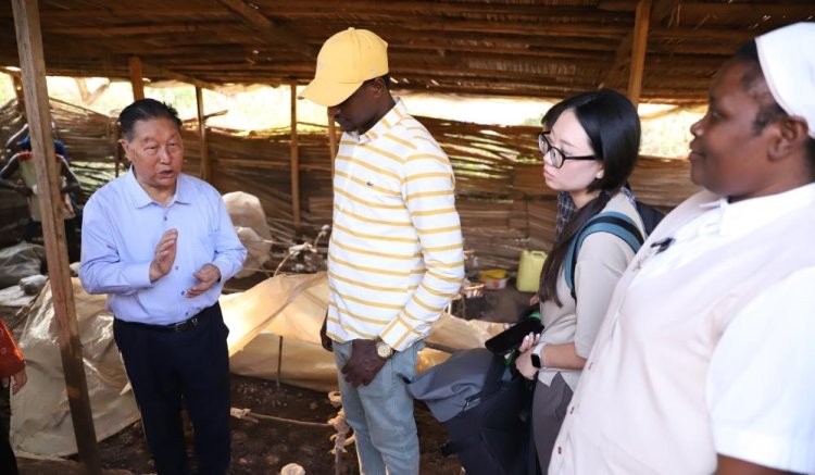 Rwandans embrace Chinese Juncao cultivation technology