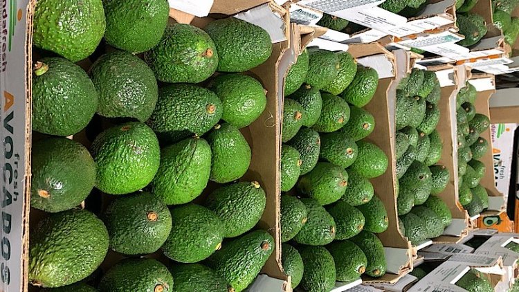 Rwanda approves 5-year strategy to accelerate economic growth