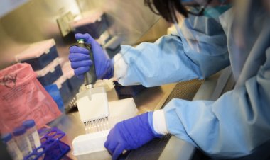 Rwanda discharges last patient of Marburg virus disease