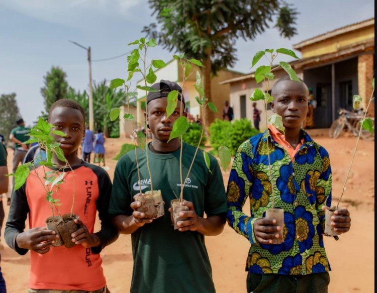 Green Climate Fund approves $440M for Africa