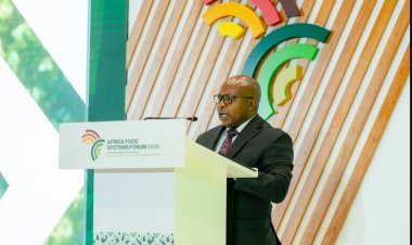 Agriculture minister urges more investment as Africa Food Systems Forum is launched