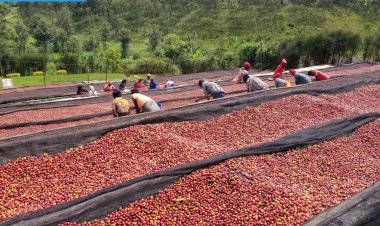 Rwanda's exports up 10.4% in 2024/2025 fiscal year: report