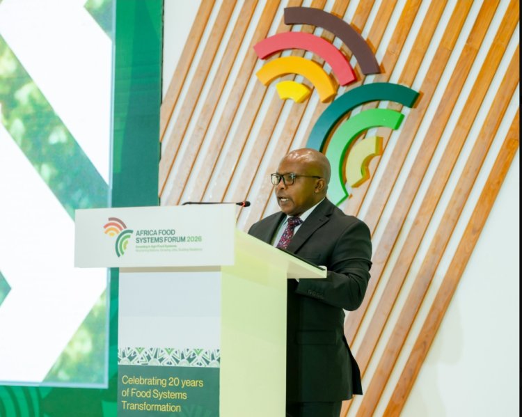Agriculture minister urges more investment as Africa Food Systems Forum is launched