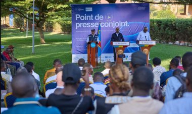 WHO chief warns countries against travel restrictions due to Ebola