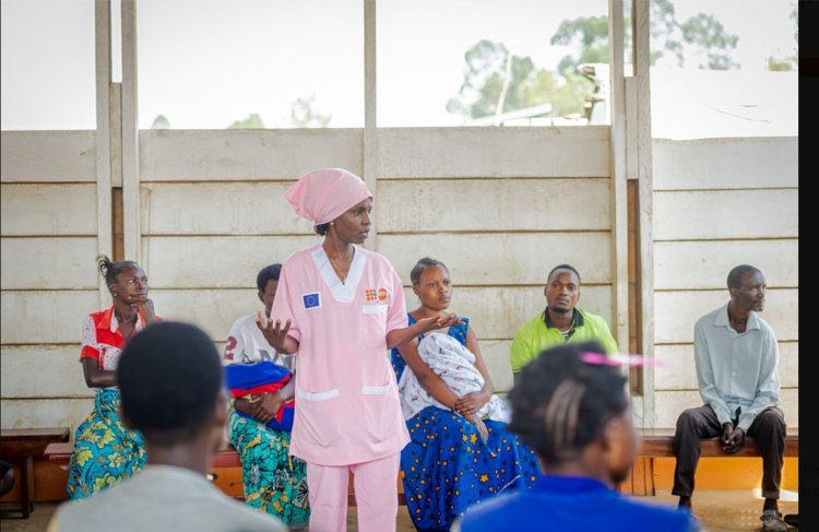 Scientists say current Ebola strain came from wildlife into human population