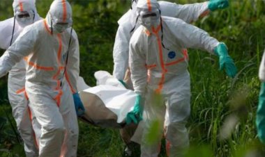 Ebola cases in DR Congo jump to over 1500, death toll 473