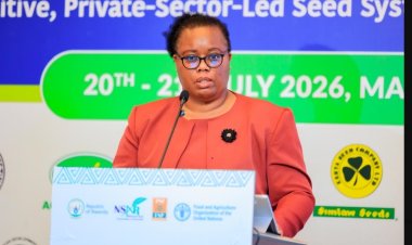 Experts, policy makers seek ways to build resilient seed system for Africa