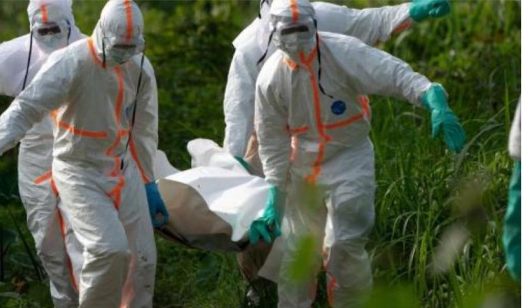 Ebola cases in DR Congo jump to over 1500, death toll 473